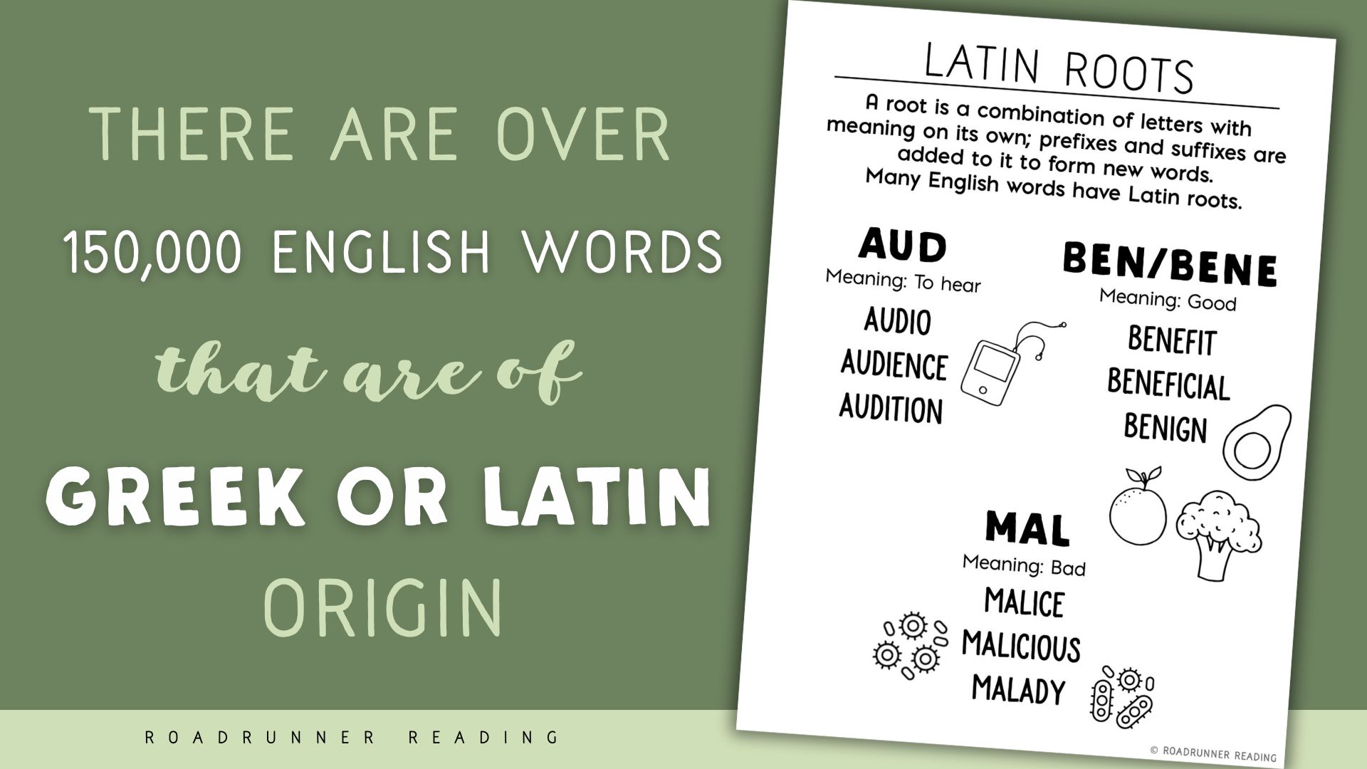 There are over 150,000 English words that are of Greek or Latin origin.